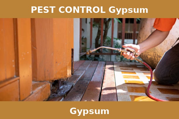 PEST CONTROL Gypsum